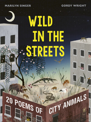 cover image of Wild in the Streets